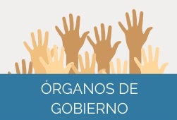 Órganos de gobierno